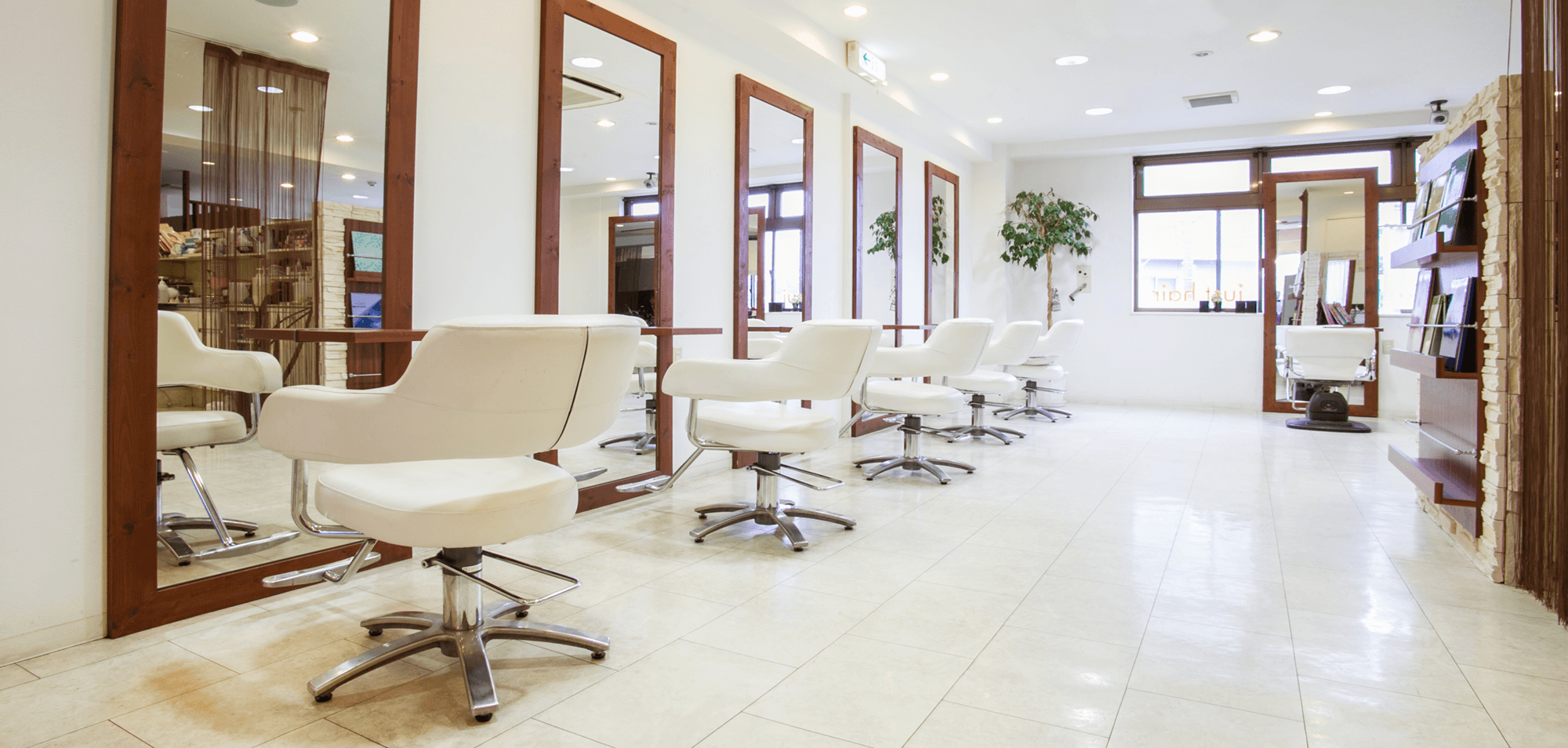 just hair ANNEX