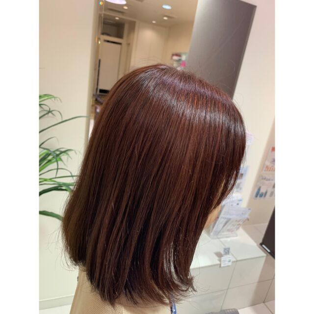 Just Hair Ruche ジャストビューティー Just Beauty 横須賀中央 久里浜 浦賀 横浜上大岡に14店舗の美容院 美容室 ヘアサロン Just Hair Ruche ジャストビューティー Just Beauty 横須賀中央 久里浜 浦賀 横浜上大岡に14店舗の美容院 美容室 ヘアサロン